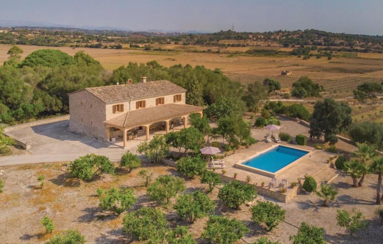 Son Maimo * Petra (Mallorca)